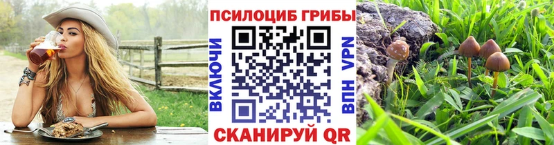 блэк спрут как зайти  Инта  Псилоцибиновые грибы мухоморы 